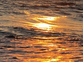 IMG_9200.JPG