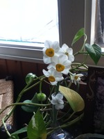 20150207_095140